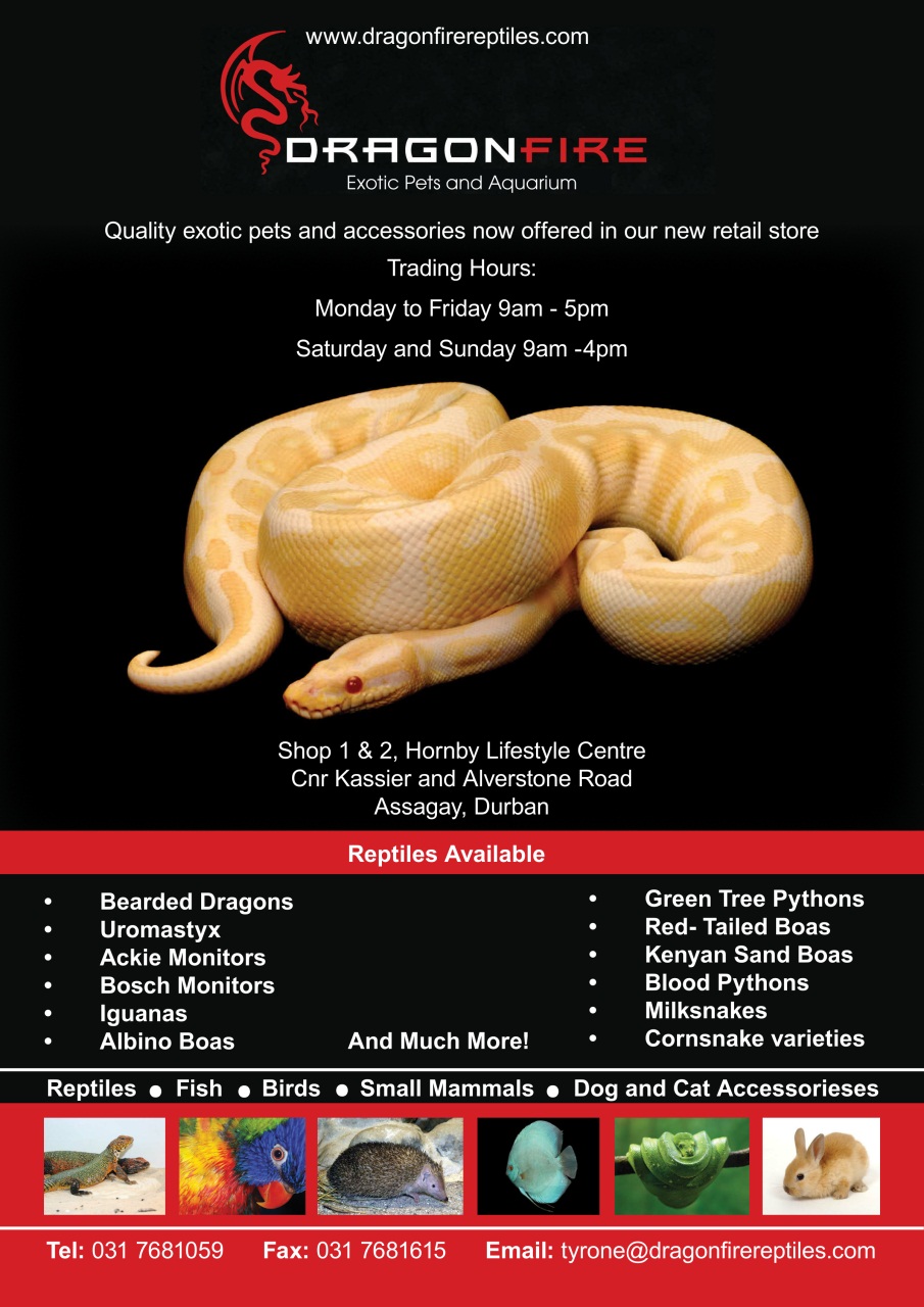 Ultimate Exotics Preview Pages