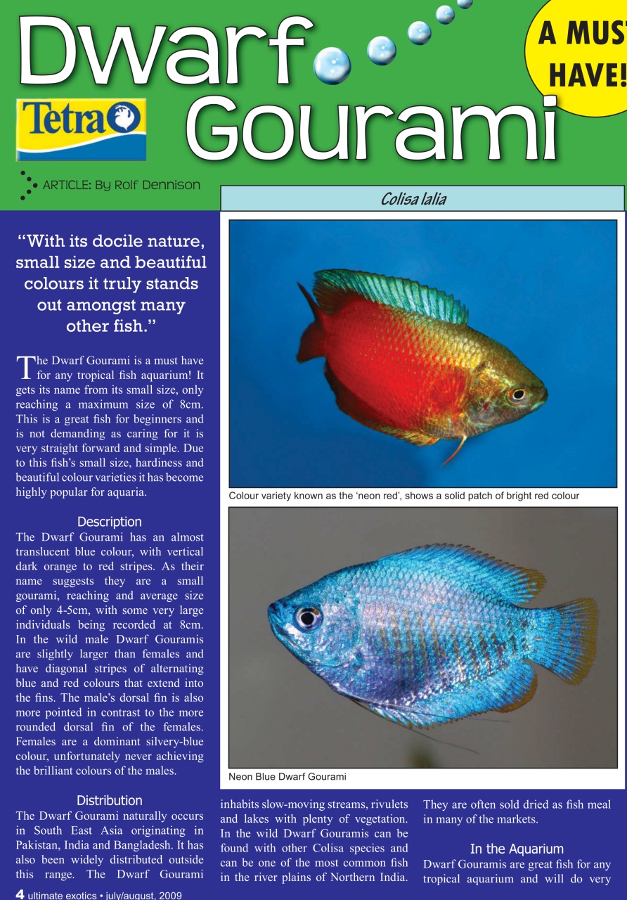 Ultimate Exotics Preview Pages