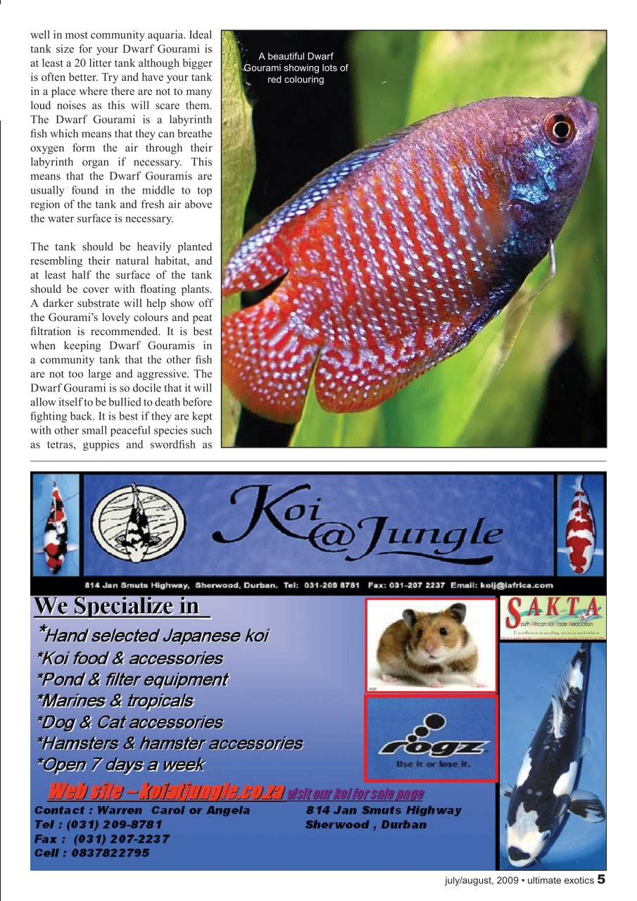 Ultimate Exotics Preview Pages