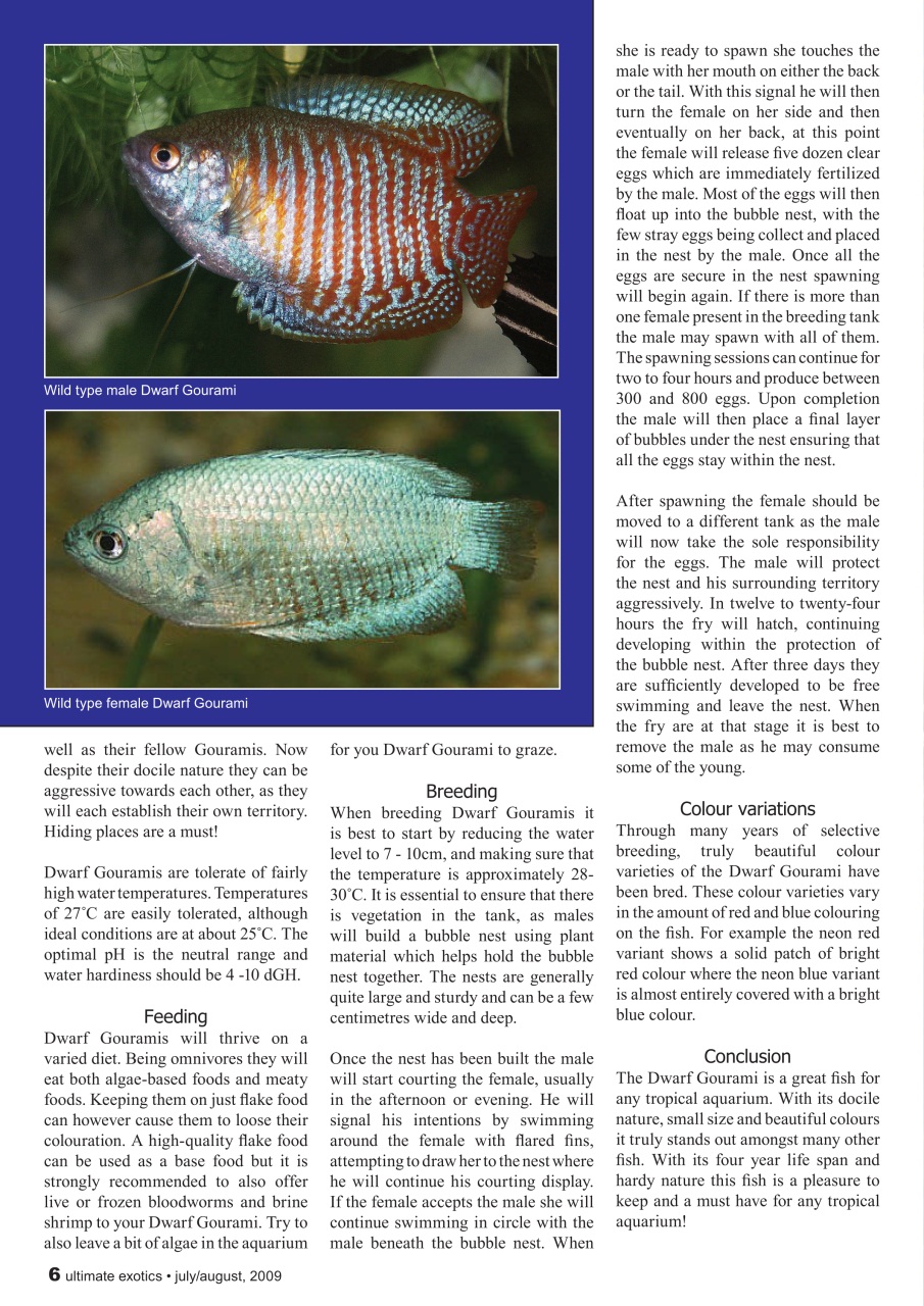 Ultimate Exotics Preview Pages