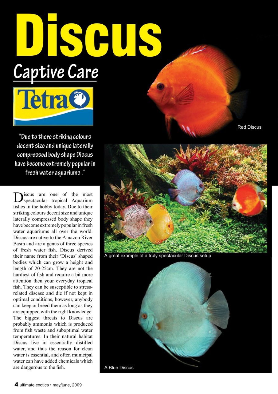 Ultimate Exotics Preview Pages