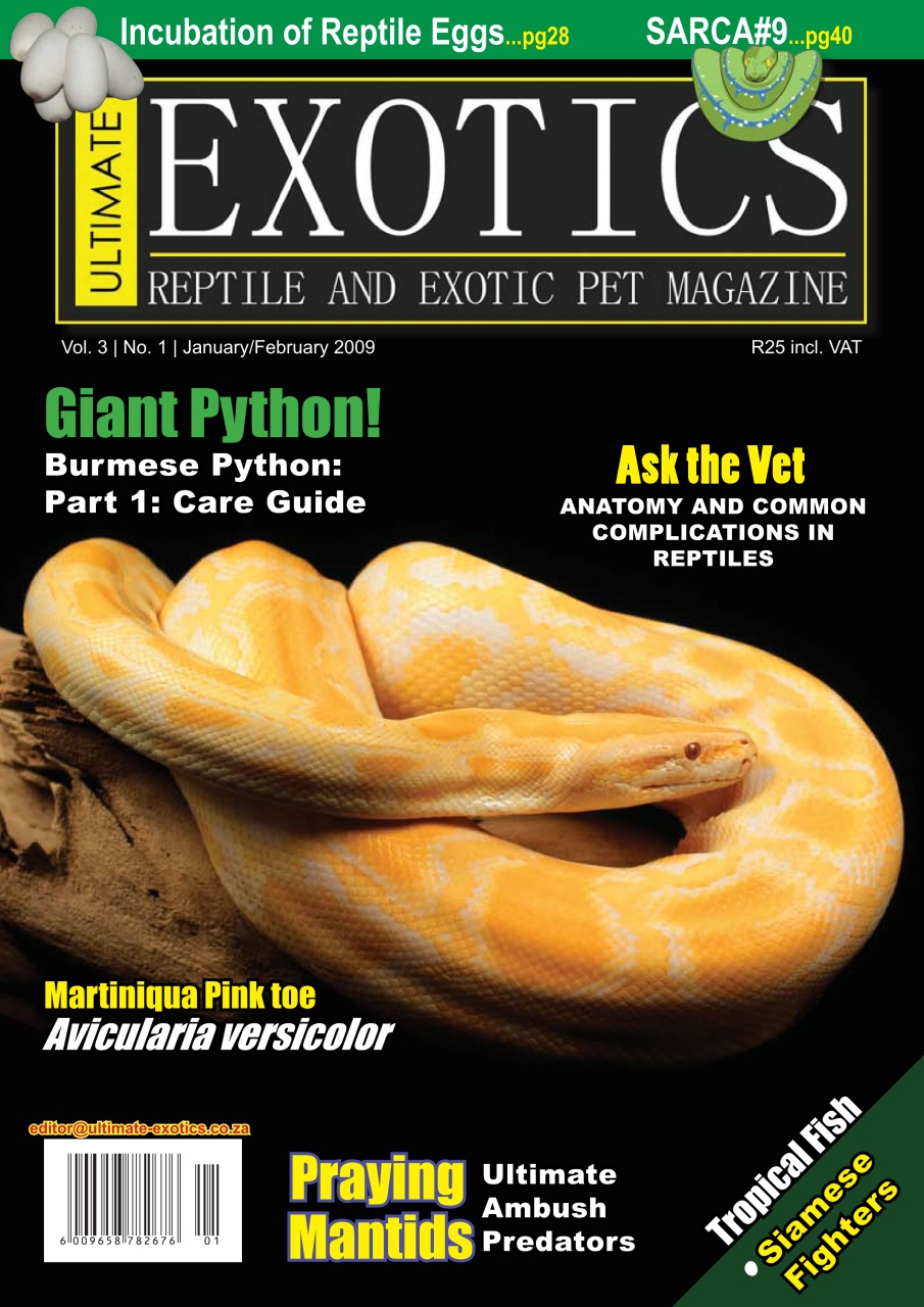 Ultimate Exotics Preview Pages