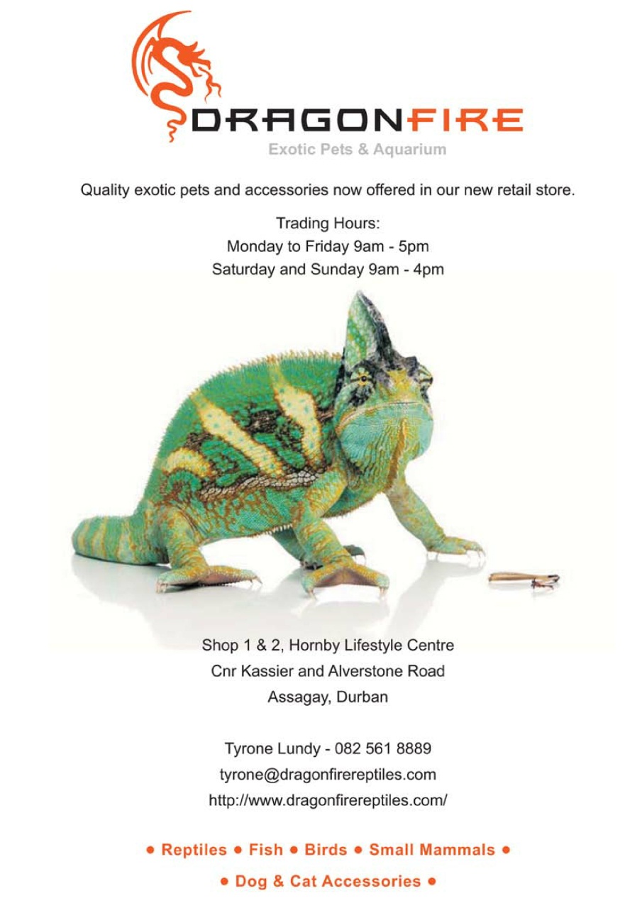 Ultimate Exotics Preview Pages