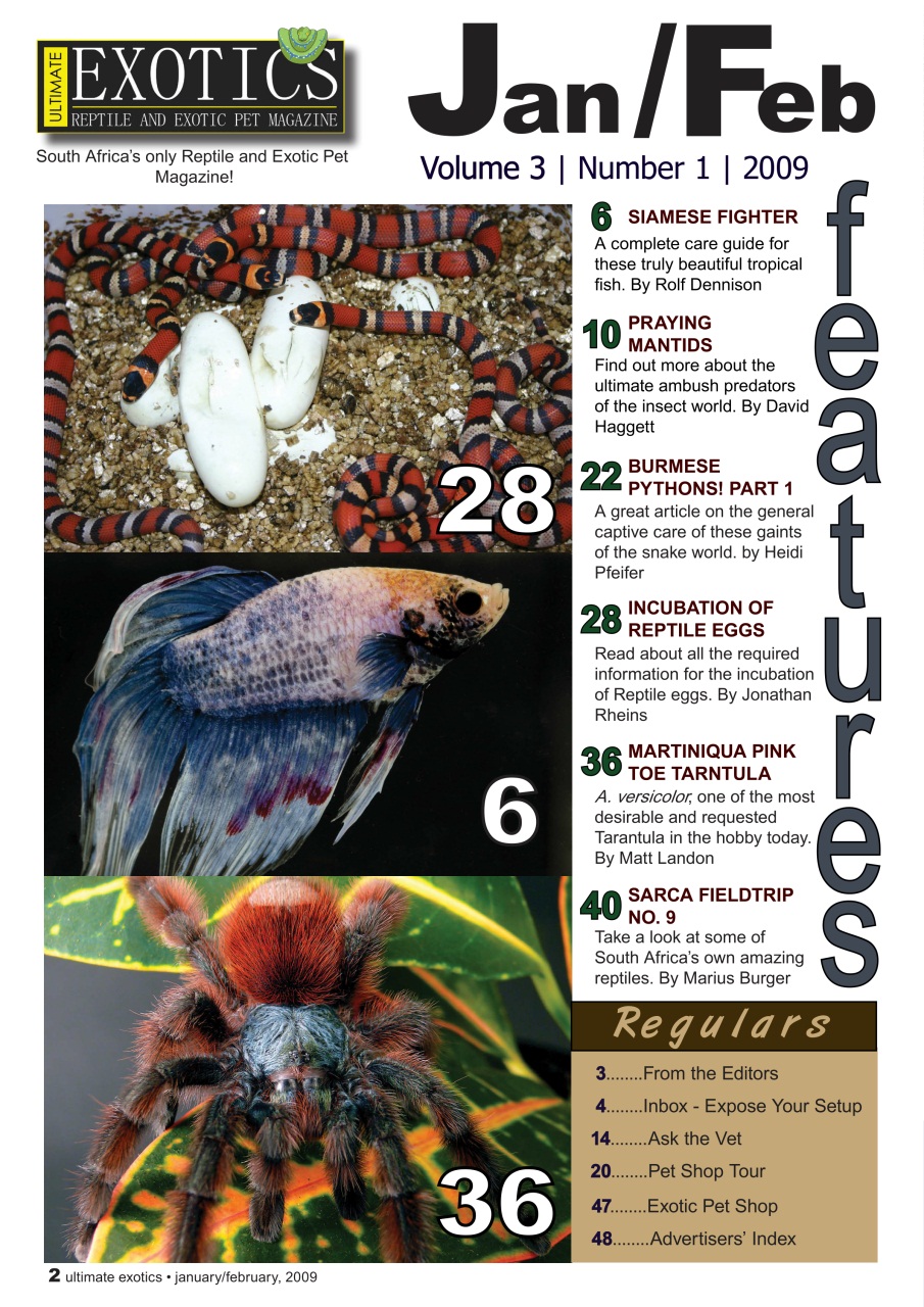 Ultimate Exotics Preview Pages