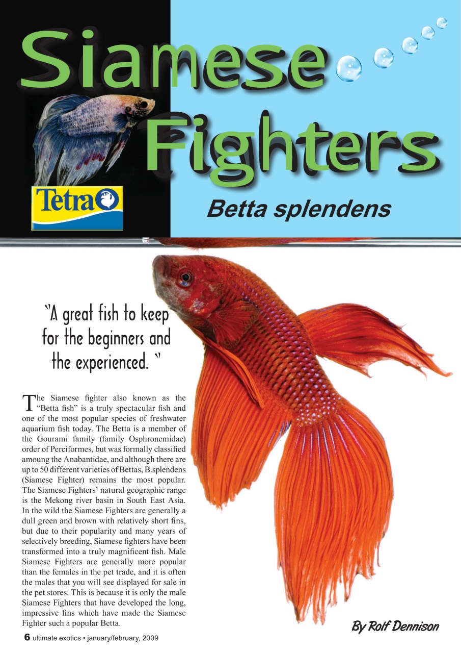 Ultimate Exotics Preview Pages