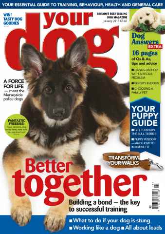 Your Dog issue Your Dog Magazine January 2013
