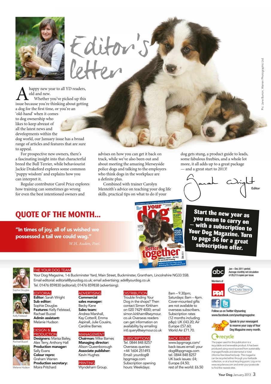 Your Dog Preview Pages