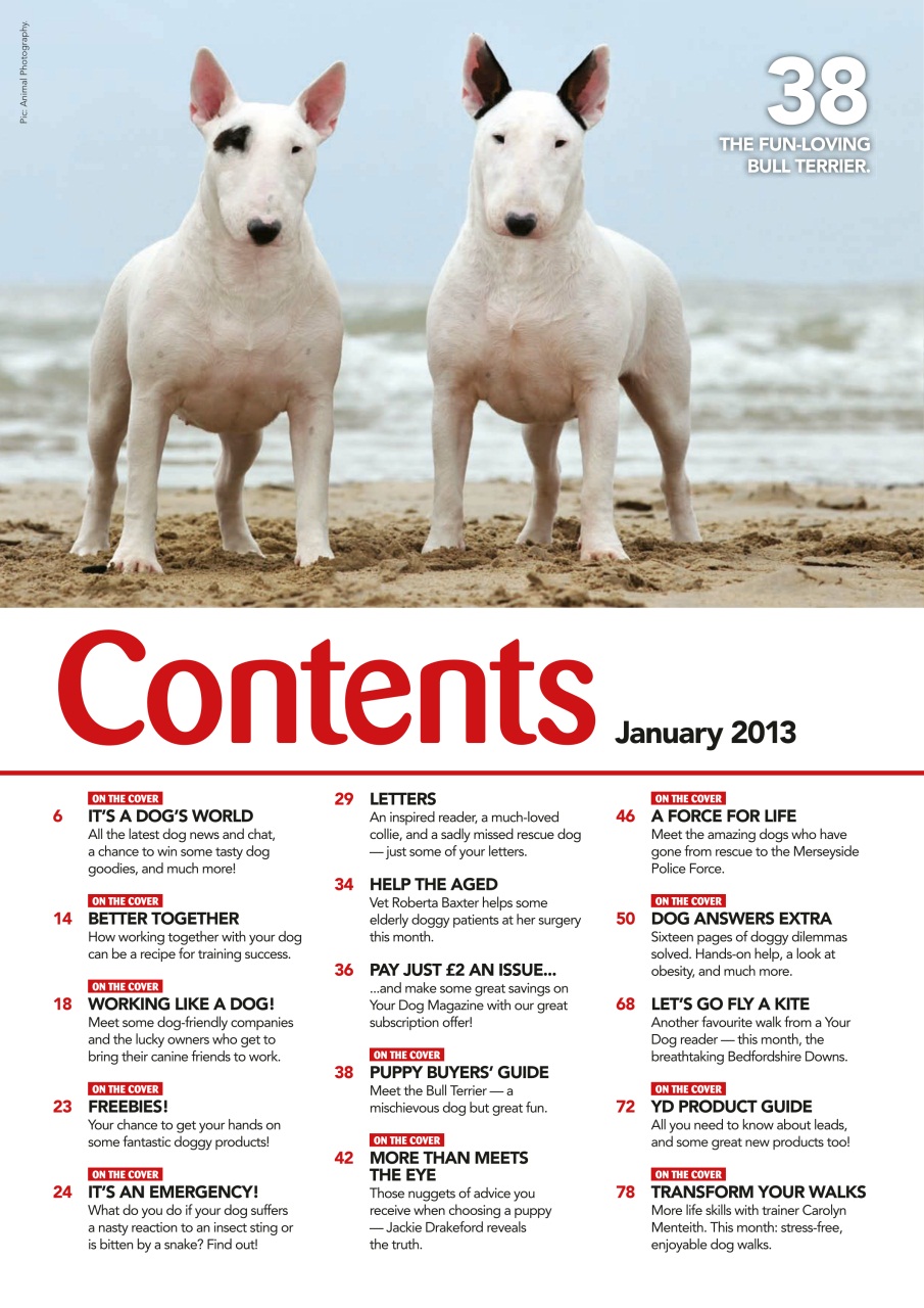 Your Dog Preview Pages