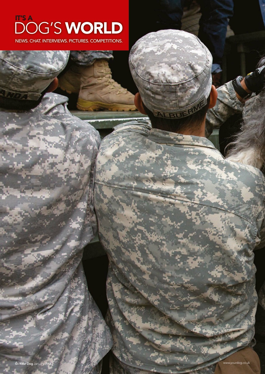 Your Dog Preview Pages