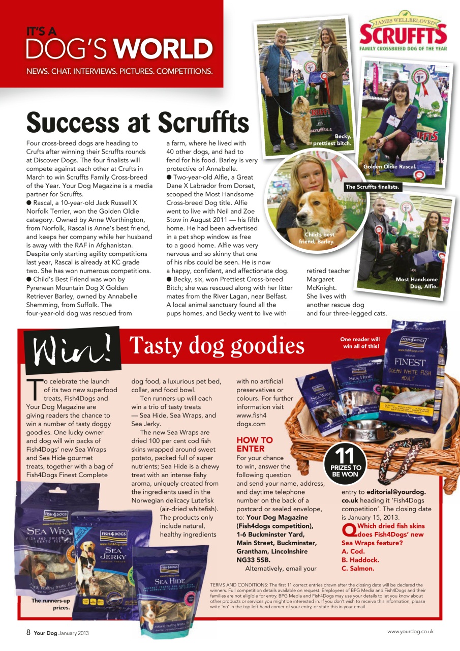 Your Dog Preview Pages