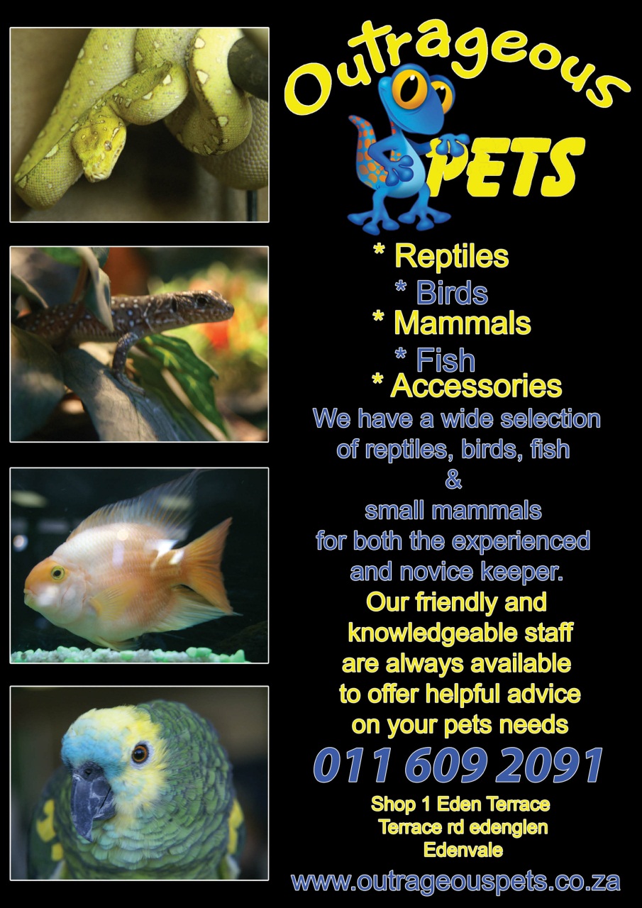 Ultimate Exotics Preview Pages