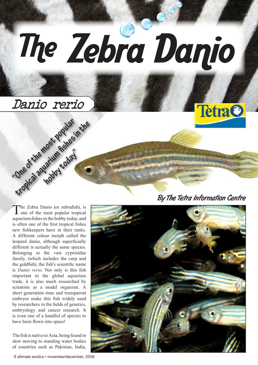 Ultimate Exotics Preview Pages