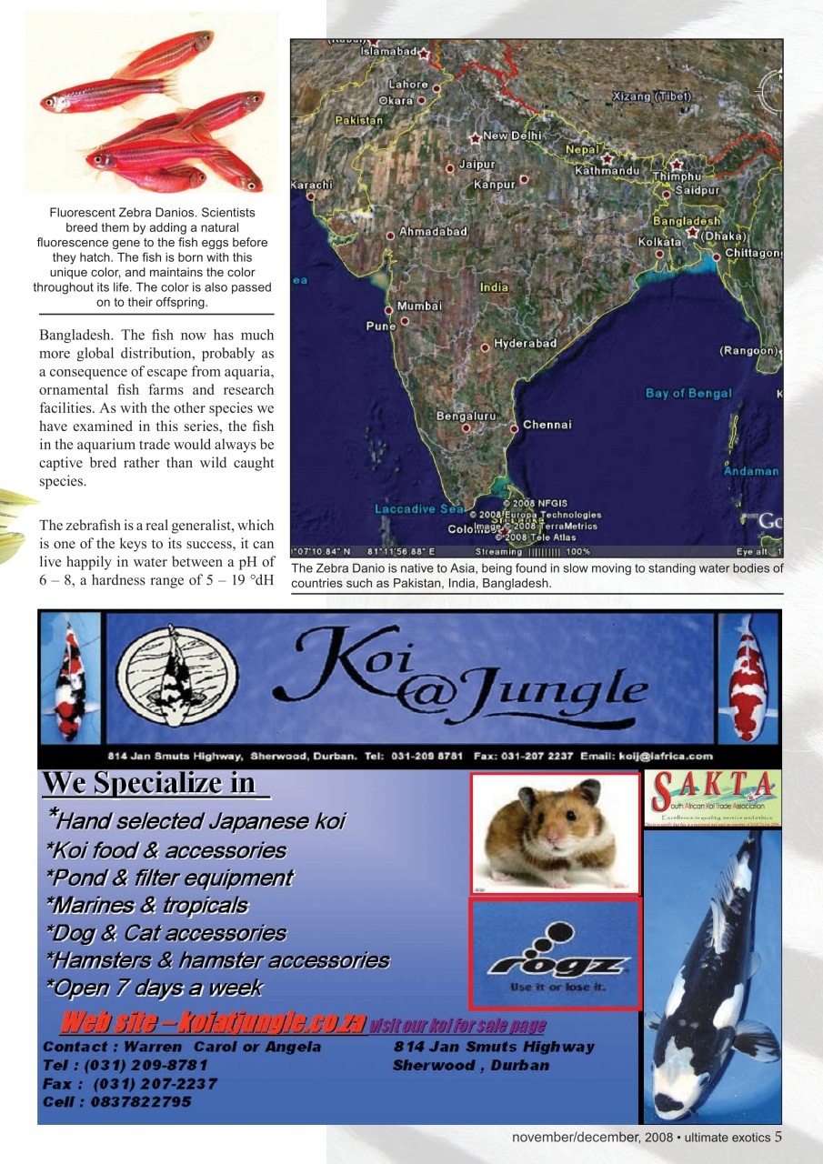 Ultimate Exotics Preview Pages