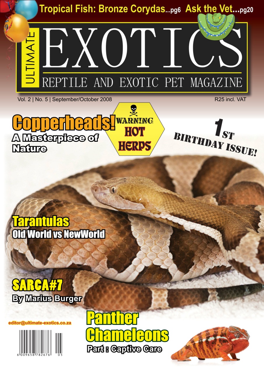 Ultimate Exotics Preview Pages