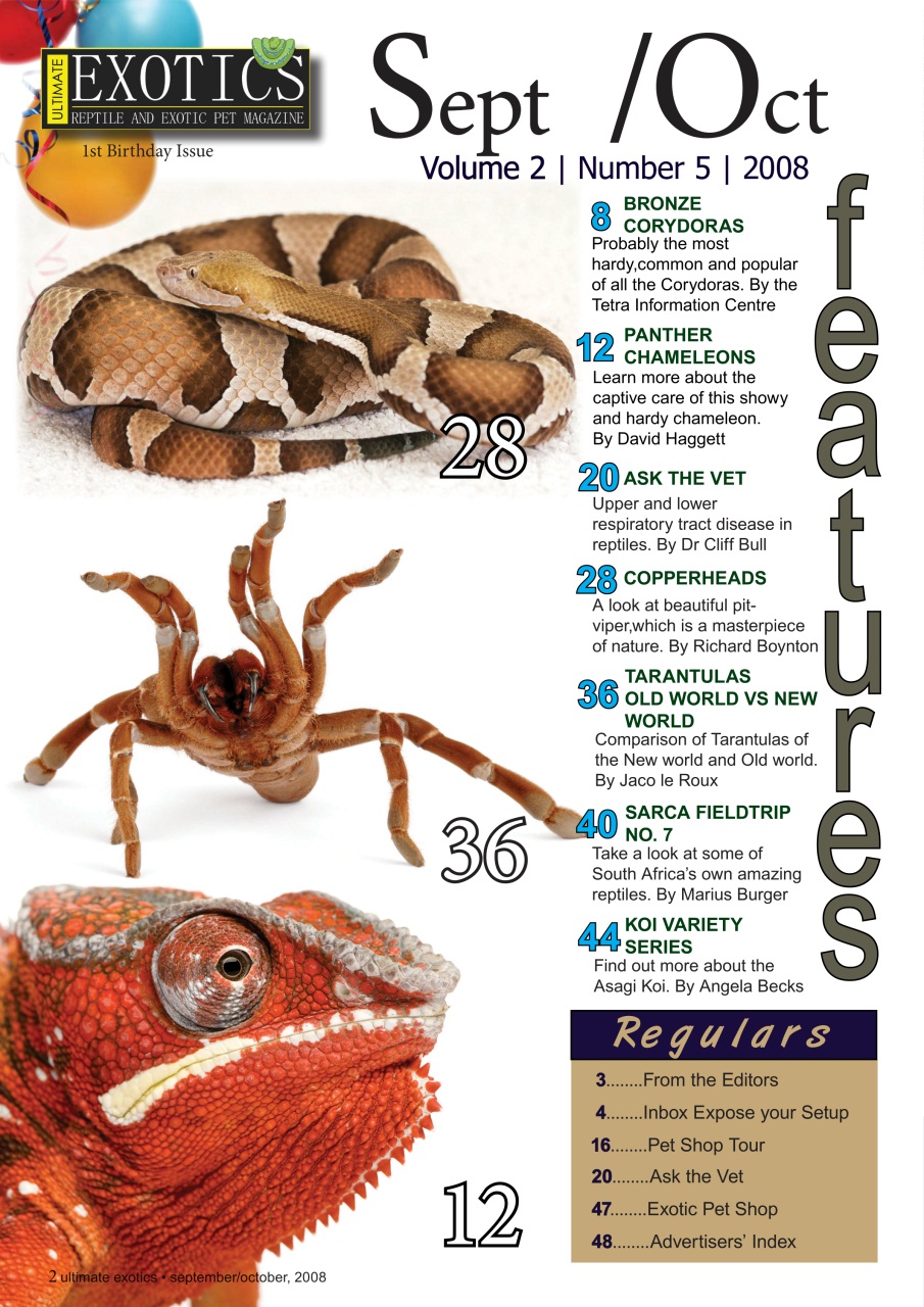 Ultimate Exotics Preview Pages