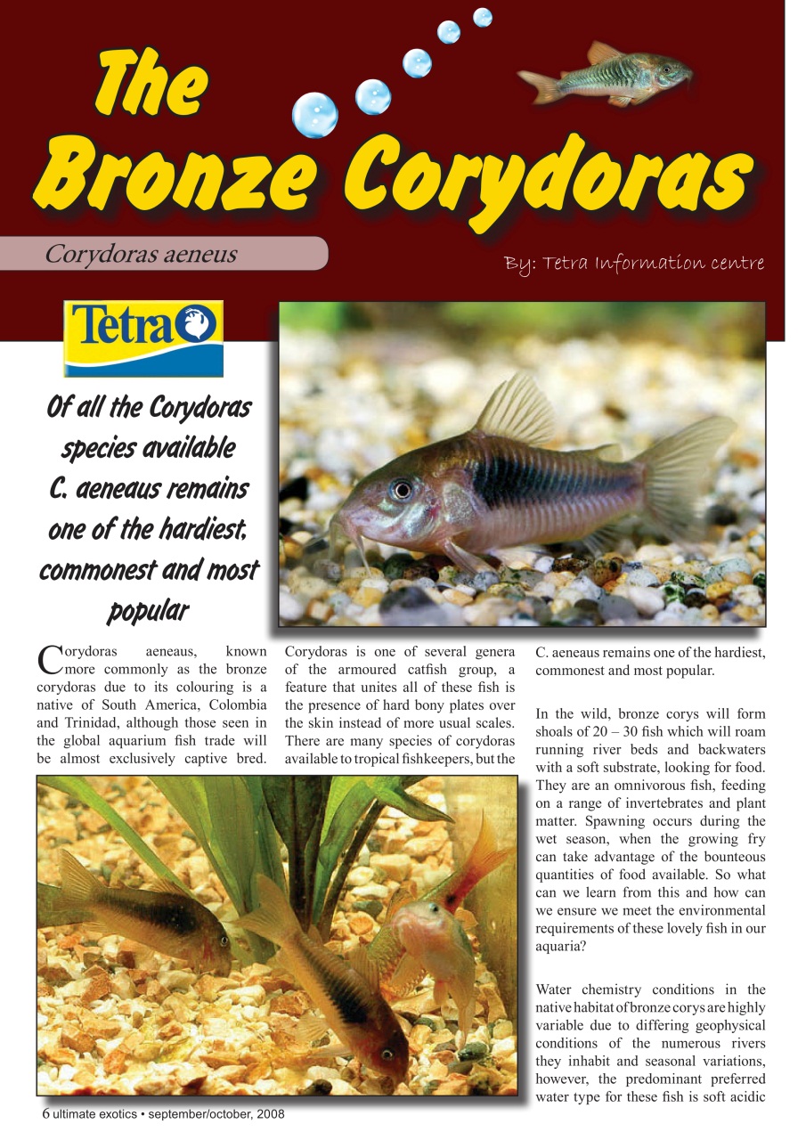 Ultimate Exotics Preview Pages