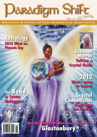 Paradigm Shift issue Paradigm Shift issue 55