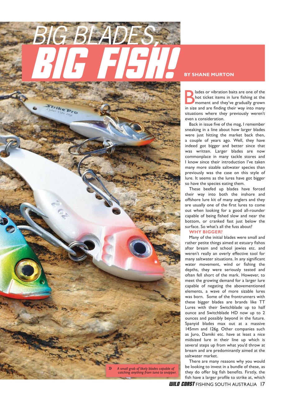 Fishing SA Preview Pages