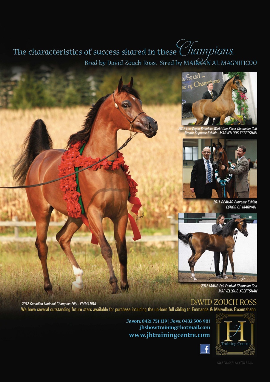 Australian Arabian Horse News Preview Pages