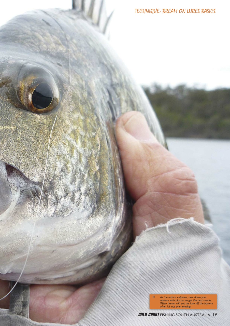 Fishing SA Preview Pages