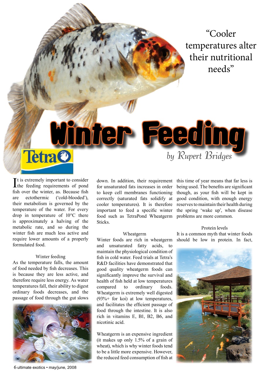 Ultimate Exotics Preview Pages