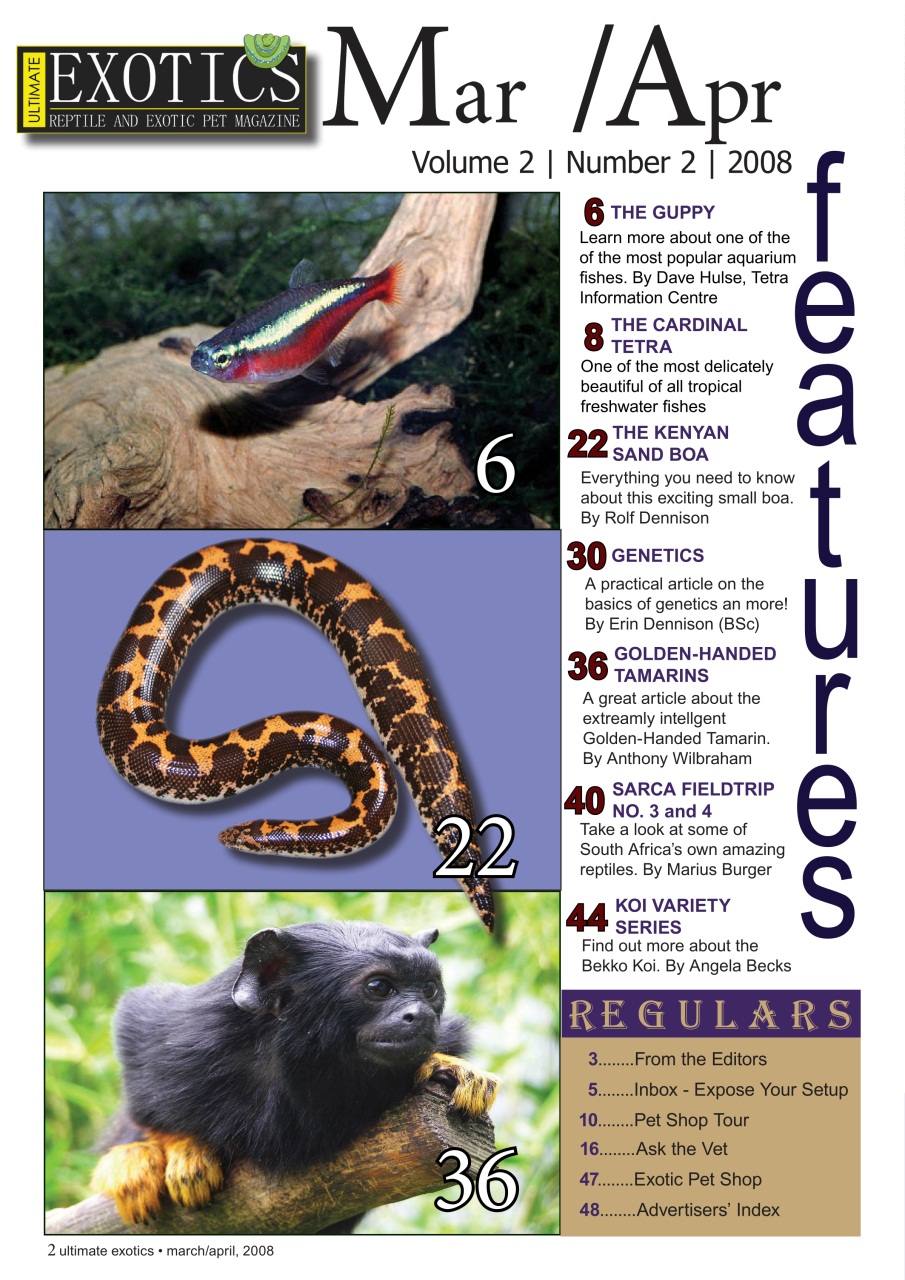 Ultimate Exotics Preview Pages