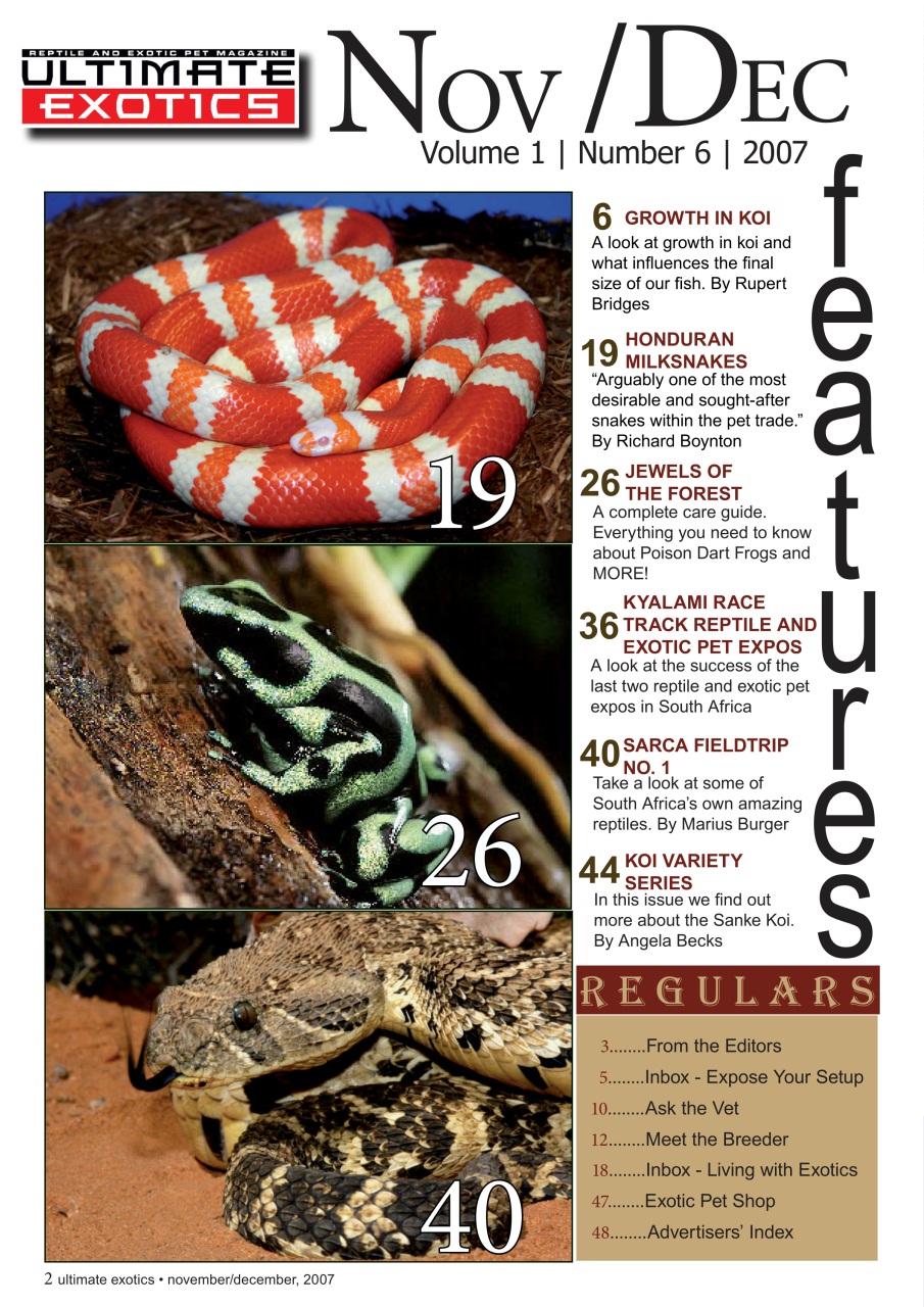 Ultimate Exotics Preview Pages