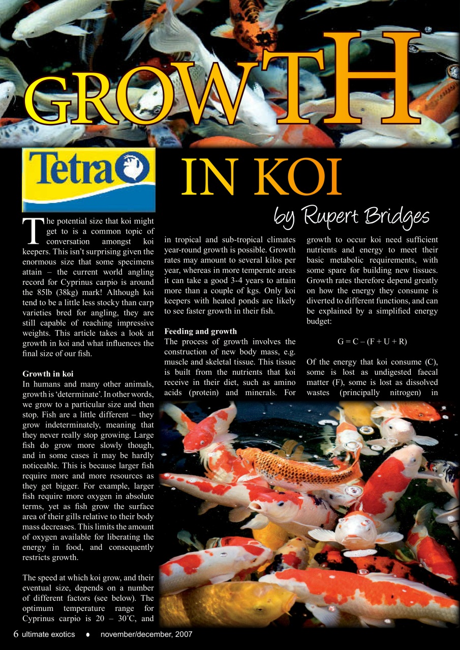 Ultimate Exotics Preview Pages