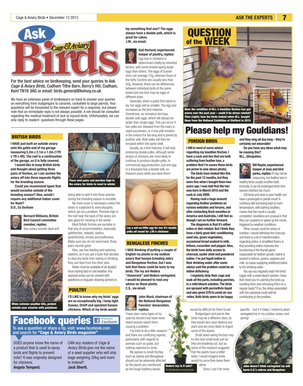 Cage & Aviary Birds Preview Pages