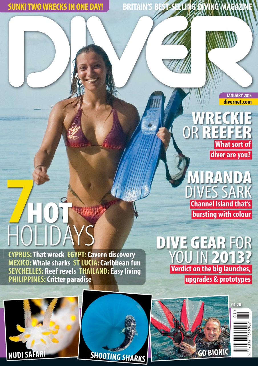 DIVER Preview Pages