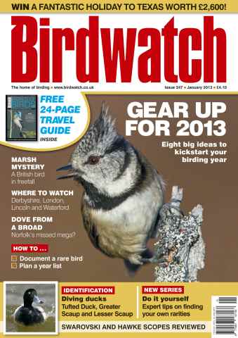Birdwatch Magazine issue January 2013