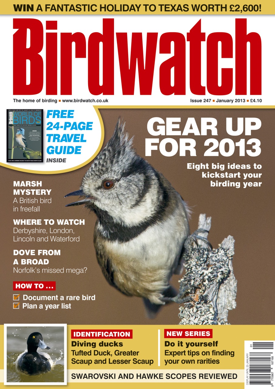 Birdwatch Magazine Preview Pages