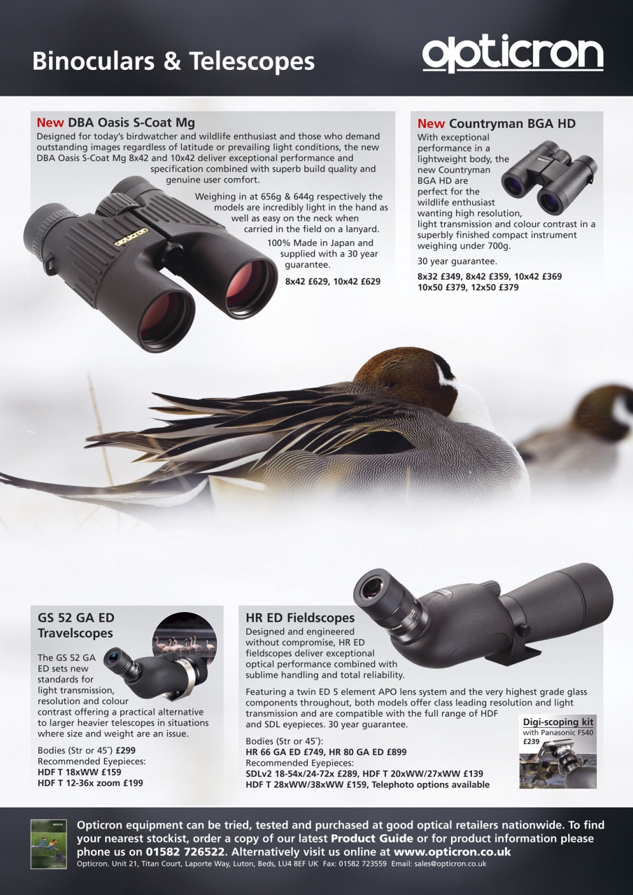 Birdwatch Magazine Preview Pages