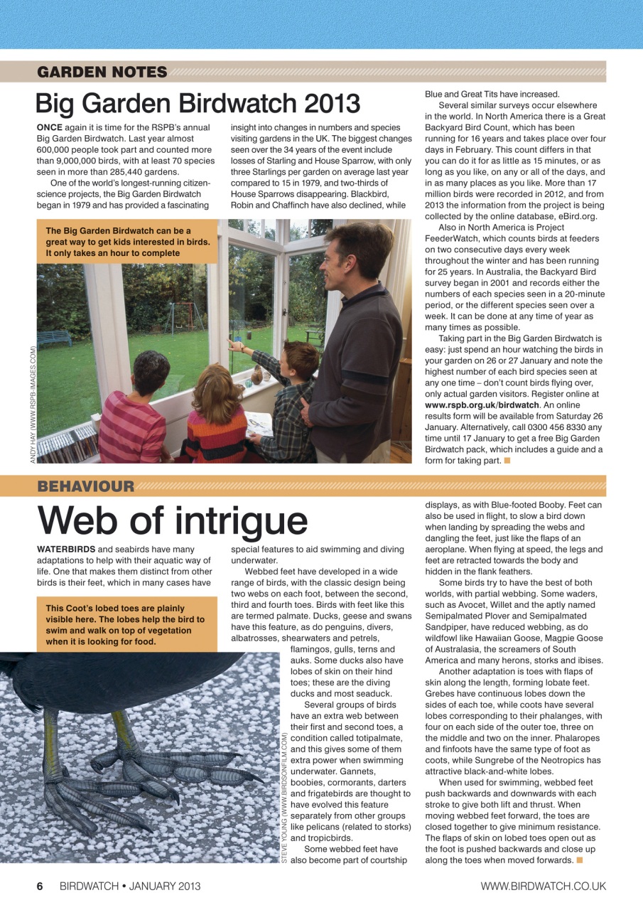 Birdwatch Magazine Preview Pages