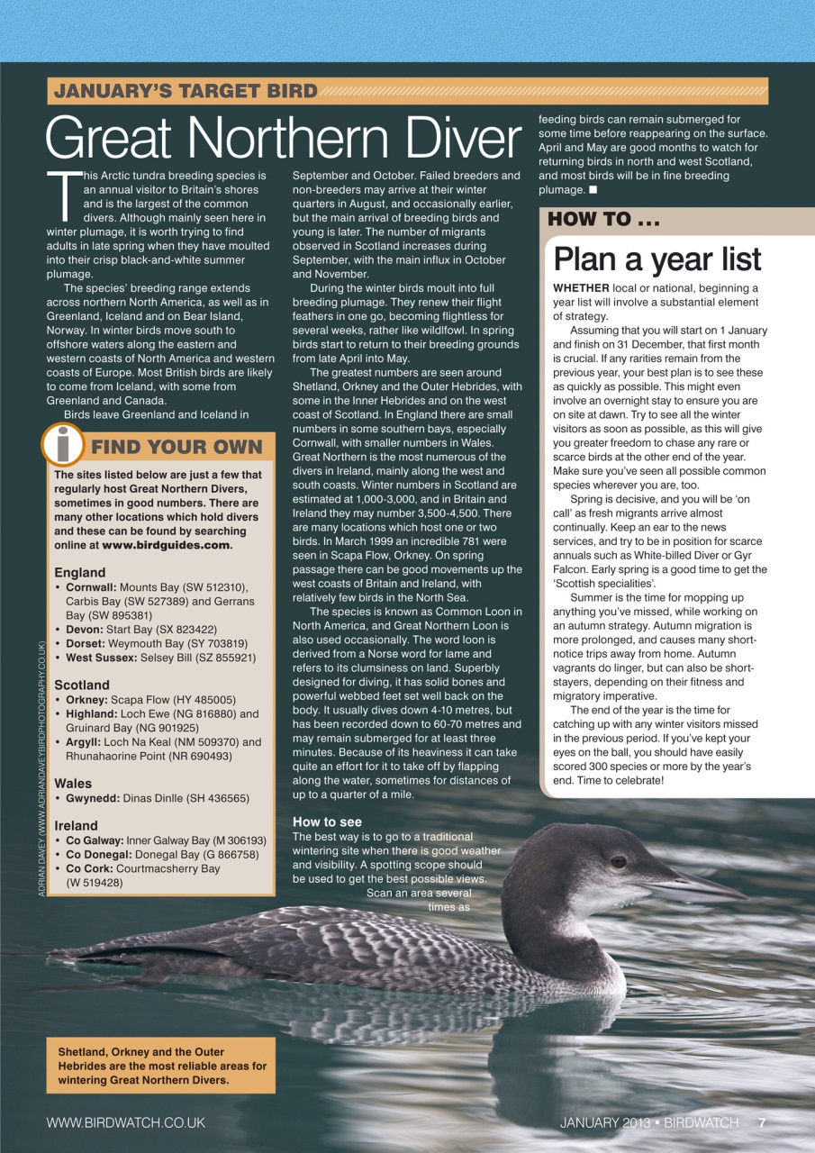 Birdwatch Magazine Preview Pages