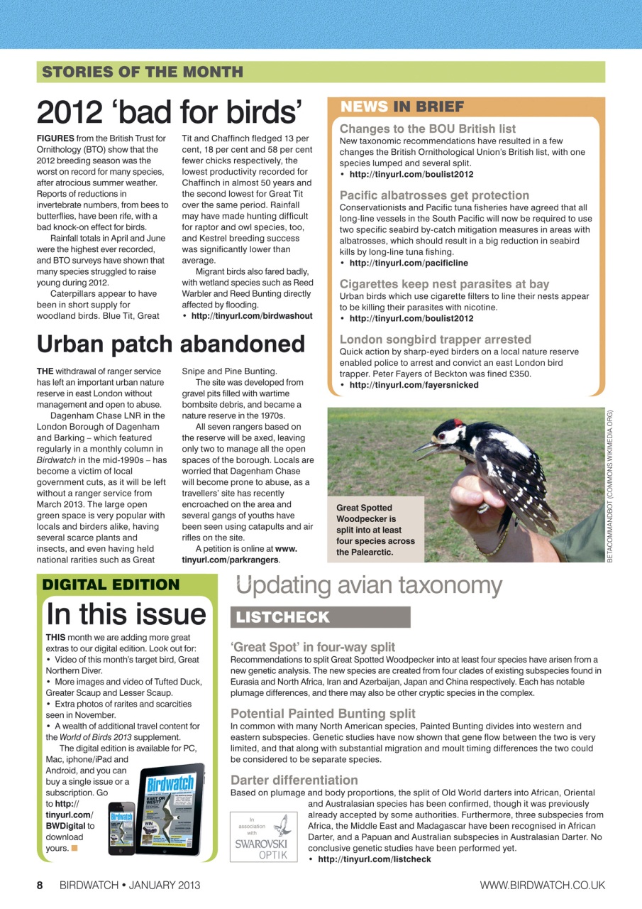 Birdwatch Magazine Preview Pages