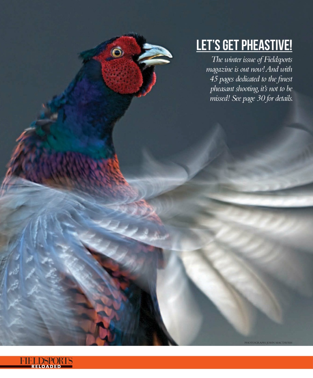 Fieldsports Journal Preview Pages