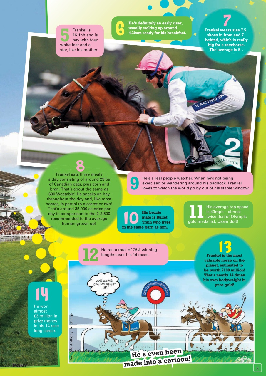 Pony Magazine Preview Pages