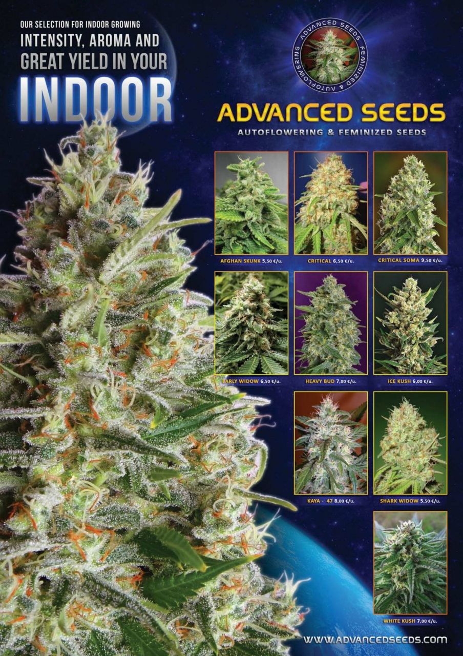Weed World Preview Pages
