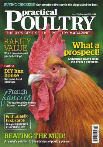 Practical Poultry issue Supporting Rare Breeds Feb 2013