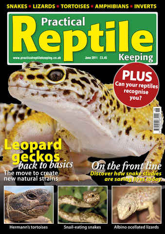 Practical Reptile Keeping issue No.25 Natural Geckos