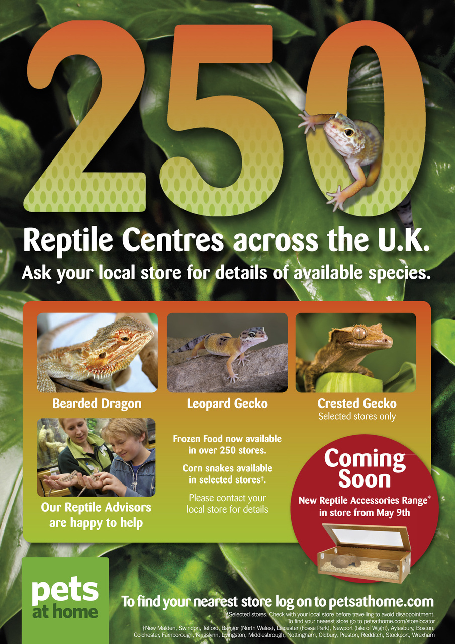 Practical Reptile Keeping Preview Pages