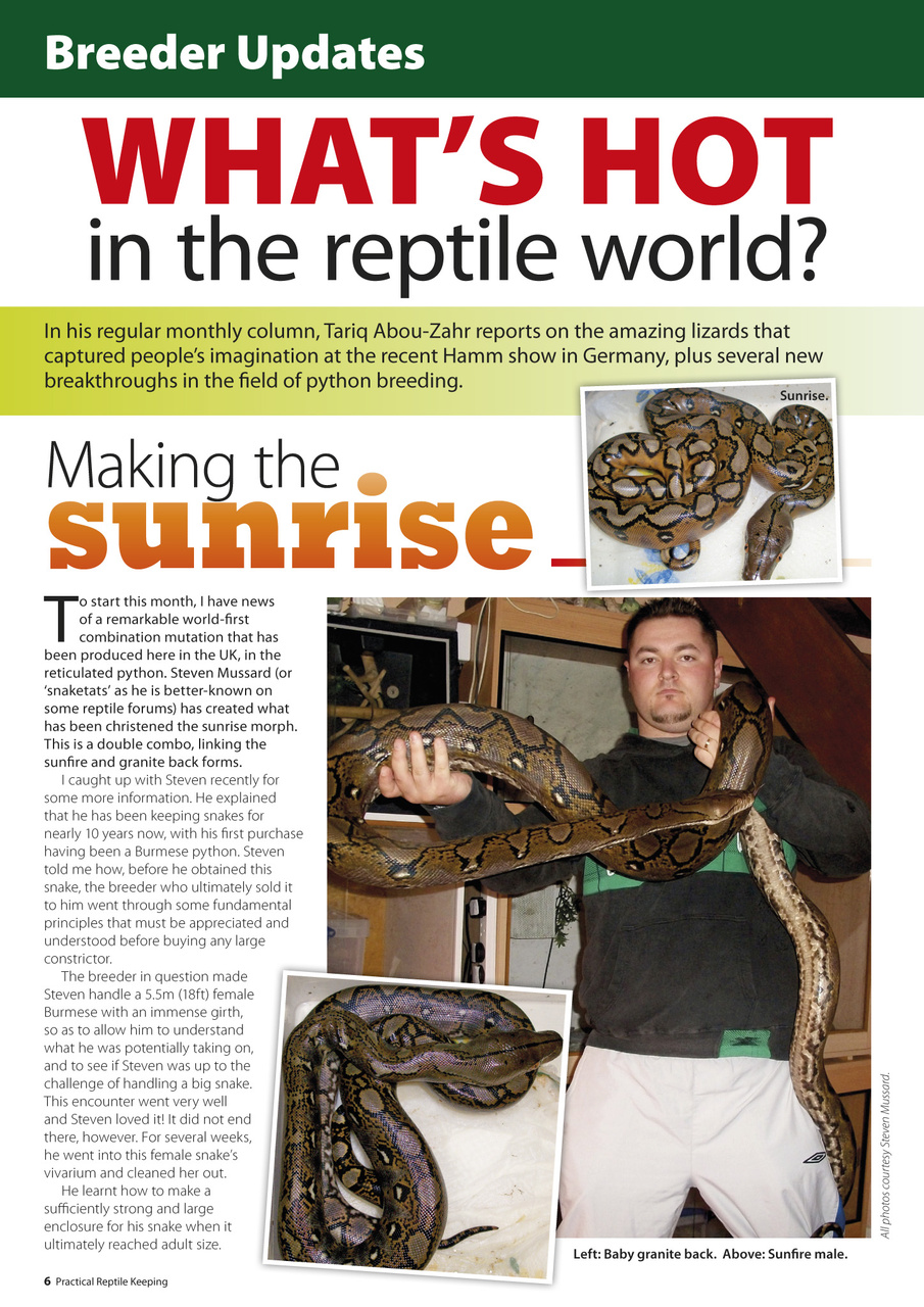 Practical Reptile Keeping Preview Pages