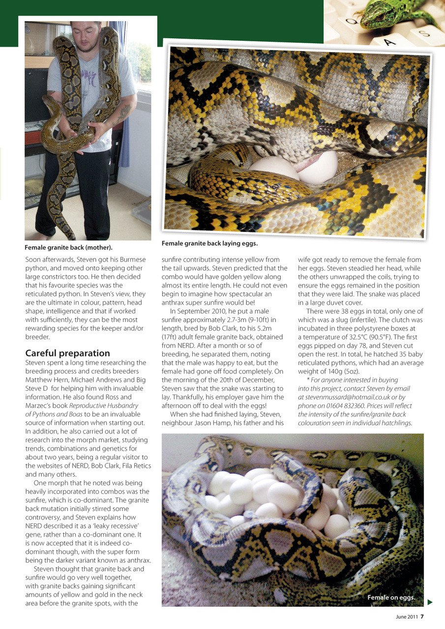 Practical Reptile Keeping Preview Pages