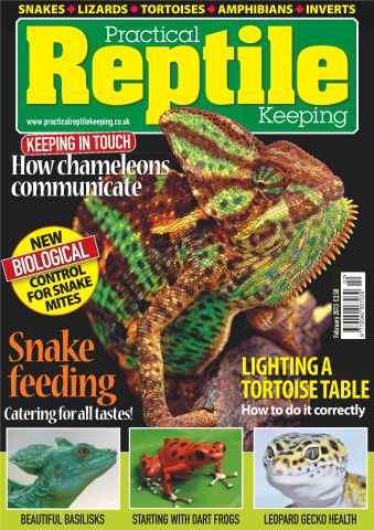 Practical Reptile Keeping issue No.45 Feeding Snakes