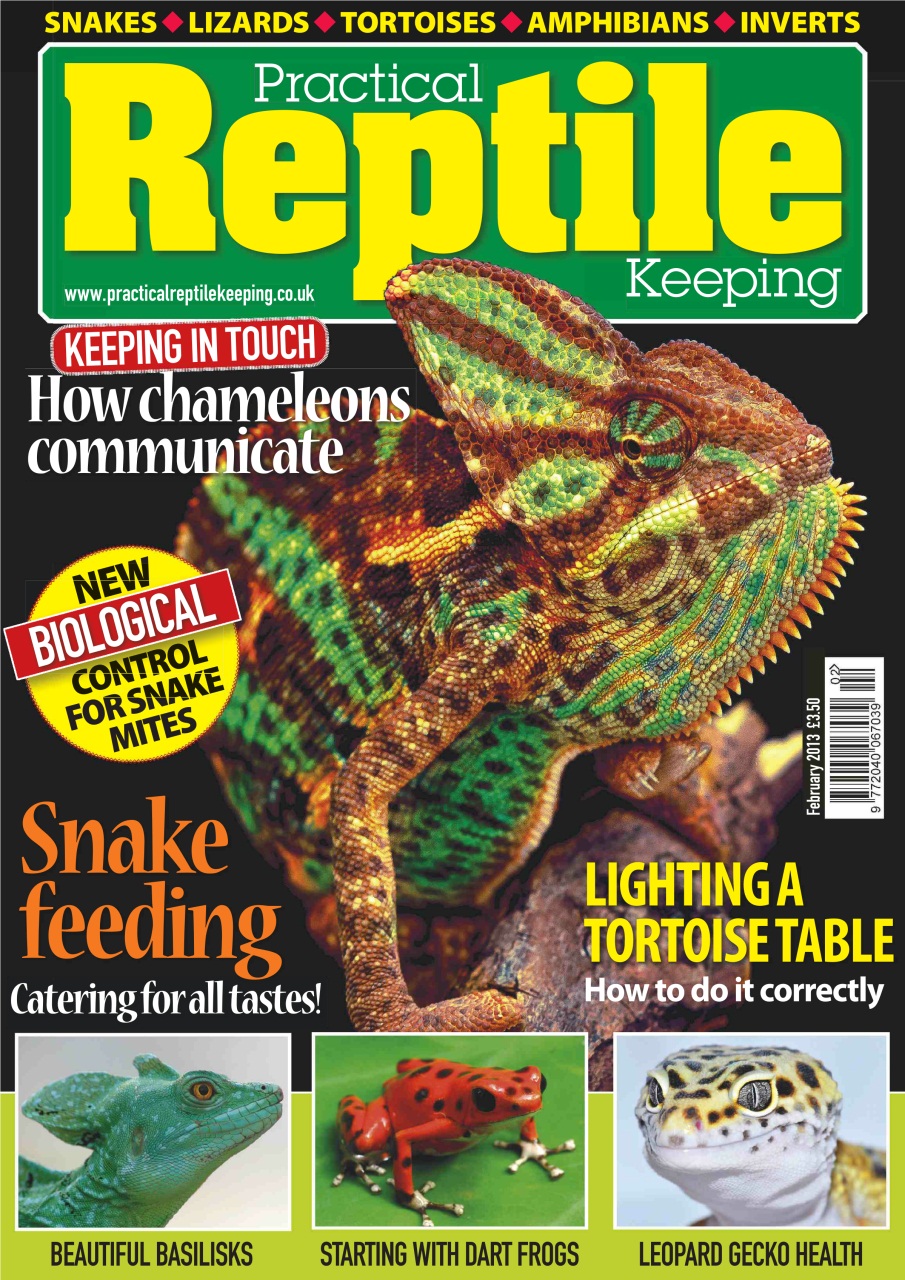 Practical Reptile Keeping Preview Pages