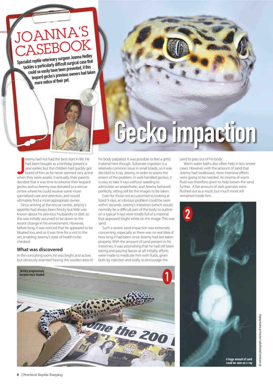 Practical Reptile Keeping Preview Pages