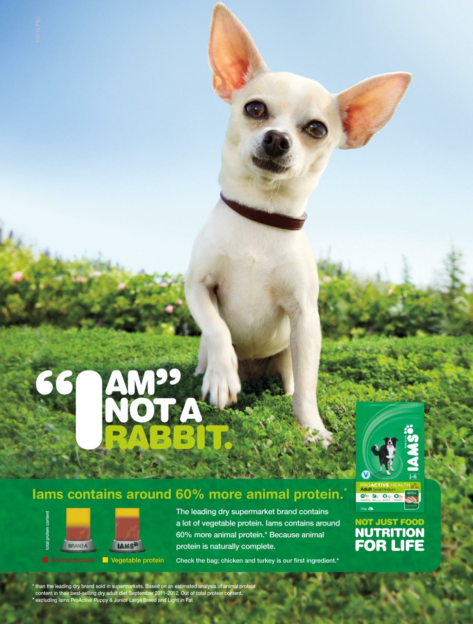 BBC Gardeners’ World Magazine Preview Pages