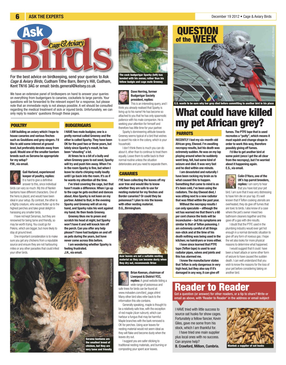 Cage & Aviary Birds Preview Pages