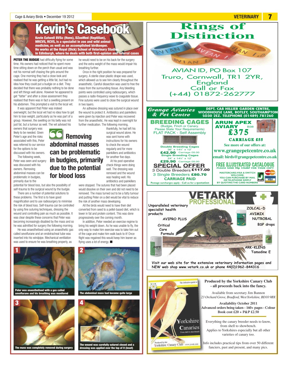 Cage & Aviary Birds Preview Pages